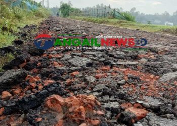 ঘাটাইলে রাস্তার কার্পেটিং তোলার ভাইরাল ভিডিও ॥ ভুল ব্যাখ্যার দাবি প্রকৌশলীর