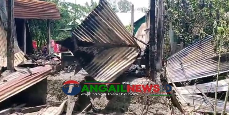 গোপালপুরে বসতবাড়িতে দুর্বৃত্তদের অগ্নিসংযোগে বহু ক্ষয়ক্ষতি