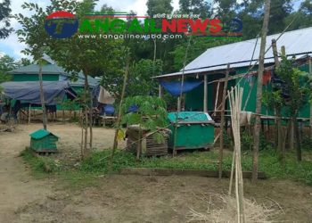 সখীপুরে চেয়ারম্যানের বিরুদ্ধে বন বিভাগের জমি বিক্রির অভিযোগ