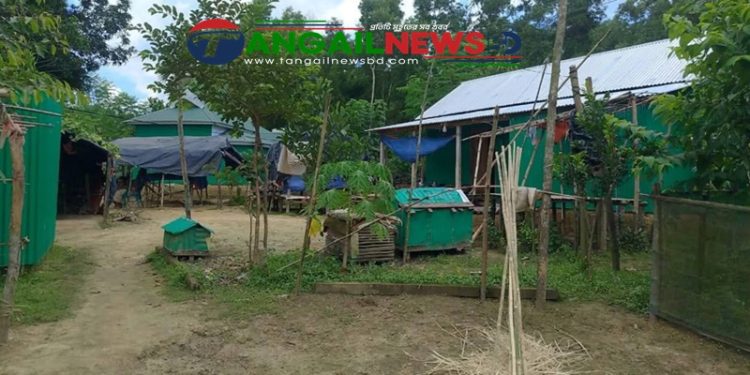 সখীপুরে চেয়ারম্যানের বিরুদ্ধে বন বিভাগের জমি বিক্রির অভিযোগ