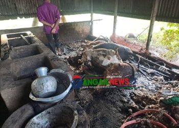 সখীপুরে আগুনে পুড়ে মারা গেলো চারটি গরু