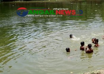 সখীপুরে পুকুরে ডুবে স্কুল ছাত্রের মৃত্যু