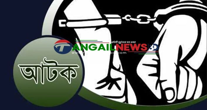 মির্জাপুরে মাদকবিরোধী পৃথক অভিযানে তিনজন আটক