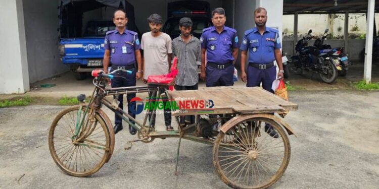 সখিপুরে চুরি হওয়া ভ্যানসহ দুইজন চোর গ্রেপ্তার