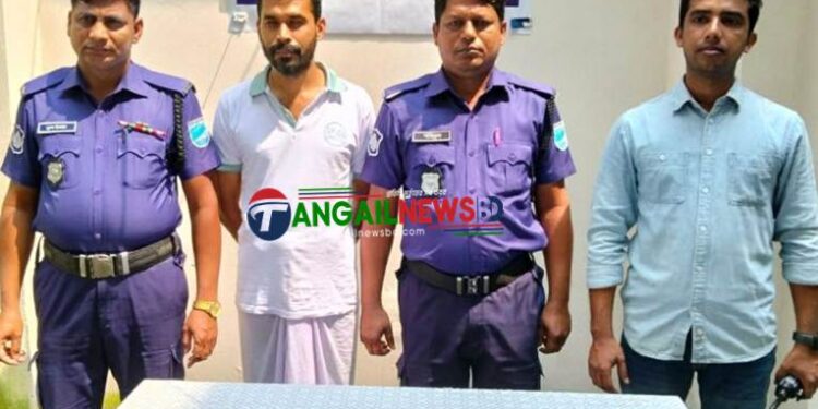 সখীপুরে একজন মাদক চোরাকারবারী গ্রেপ্তার