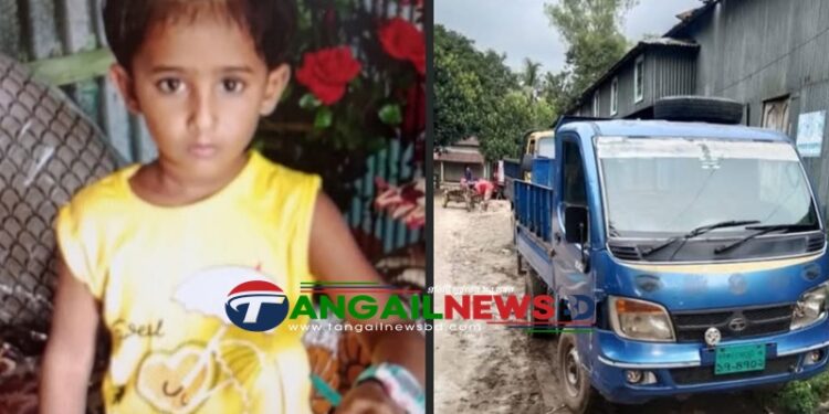 সখীপুরে পিকআপের চাপায় শিশুর মর্মান্তিক মৃত্যু