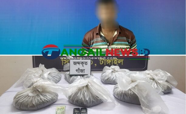 এলেঙ্গায় গাঁজাসহ মাদক কারবারীকে গ্রেপ্তার করেছে র‍্যাব