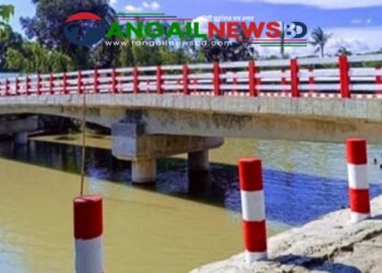 টাঙ্গাইলে এলজিইডির ২০২৪-২৫ অর্থ বছরে ১৯ প্রকল্পে গড় অগ্রগতি ৮২ শতাংশ