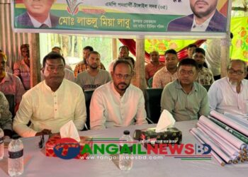 আমরা ঐক্যবদ্ধ ভাবে দেশটাকে গড়ে তুলবো- সালাউদ্দিন টুকু