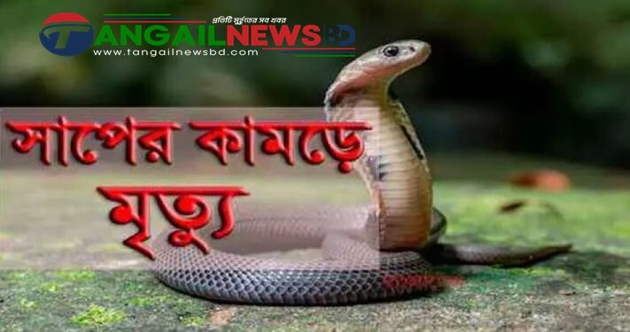 দেলদুয়ারে সাপের কামড়ে যুবকের মৃত্যু