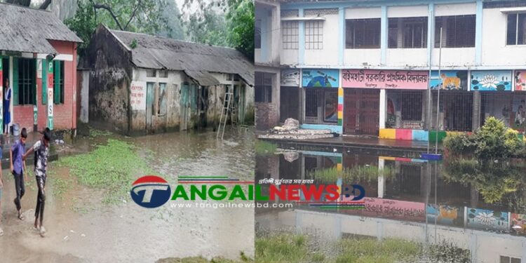 মির্জাপুরে দুইটি সরকারী প্রাথমিক স্কুলে জলাবদ্ধতা ॥ বিপাকে শিক্ষার্থীরা