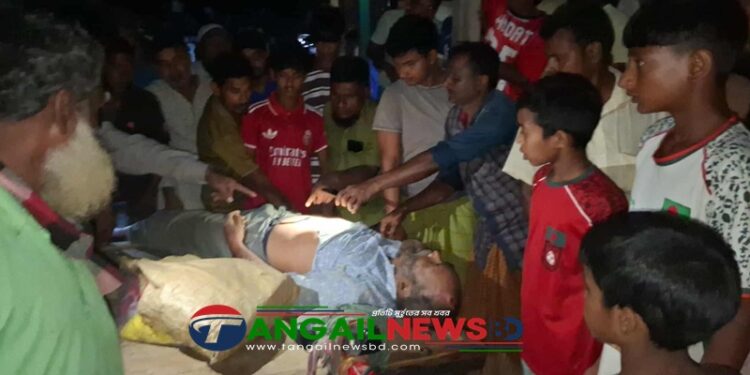 যমুনা সেতু মহাসড়কে ট্রাকের ধাক্কায় প্রাণ গেল বৃদ্ধের