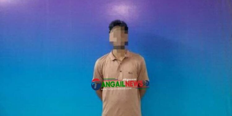 দেলদুয়ার থেকে ধর্ষণ মামলার আসামী গ্রেপ্তার