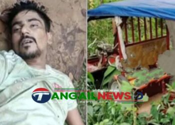 সখীপুরে গণপিটুনিতে অটোরিক্সা চোর নিহত