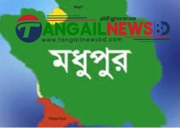 মধুপুরে অটো চুরি করতে গিয়ে গণপিটুনিতে যুবক নিহত