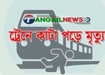 গোপালপুরে ট্রেনে কাটা পড়ে এক নারী ও তিন ছাগলের মৃত্যু