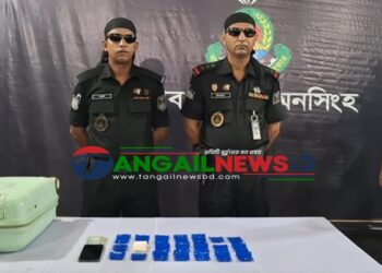 দেলদুয়ারে ৩ হাজার ৯৫০ পিস ইয়াবাসহ এক নারী মাদক কারবারী গ্রেফতার