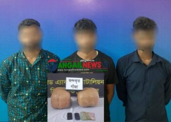 টাঙ্গাইলে বিপুল পরিমান গাঁ*জাসহ তিন মাদক কারবারী গ্রেফতার