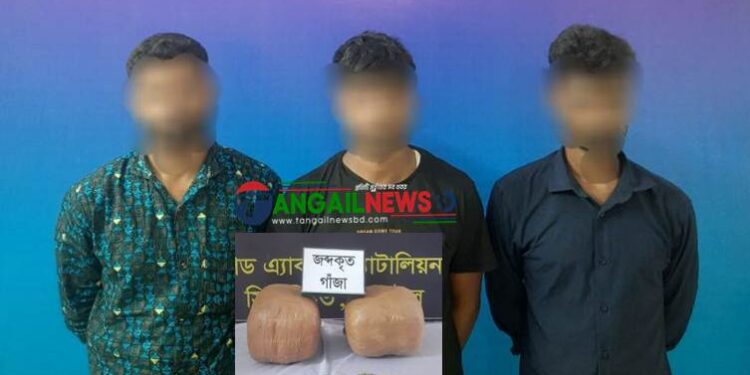 টাঙ্গাইলে বিপুল পরিমান গাঁজাসহ তিনজন গ্রেফতার