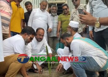 টাঙ্গাইলে শিক্ষা প্রতিষ্ঠানে টুকুর উদ্যোগে তাল গাছ রোপন