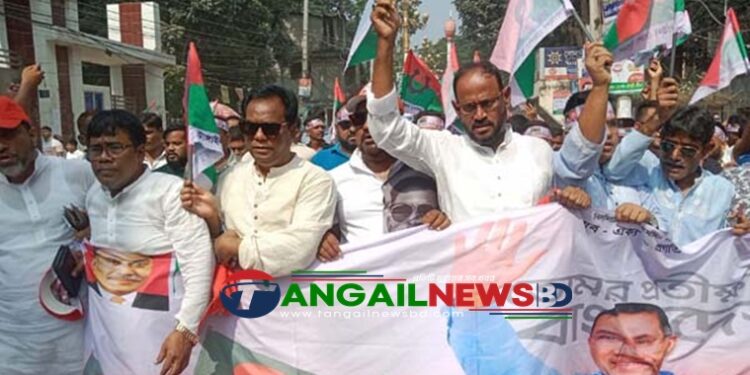 ফেব্রুয়ারিতে সংসদ নির্বাচন কোন ষড়যন্ত্রকারী রুখতে পারবে না- সালাউদ্দিন টুকু