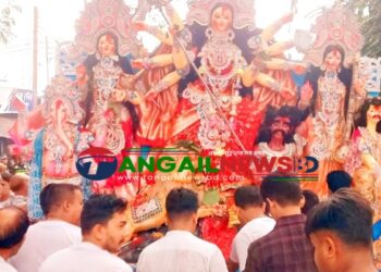 প্রতিমা বিসর্জনের মধ্যেদিয়ে শেষ হয়েছে মধুপুর-ধনবাড়ীর দুর্গোৎসব