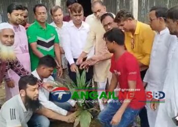 কালিহাতীতে যুবদলের ৪৭তম প্রতিষ্ঠাবার্ষিকীতে বৃক্ষরোপণ