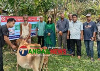 মধুপুরে গবাদিপশুর মাঝে বিনামূল্যে তড়কা রোগের ভ্যাকসিন ক্যাম্পেইন