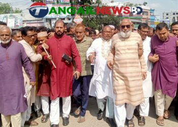 গোপালপুরে জাতীয় বিপ্লব ও সংহতি দিবস পালিত