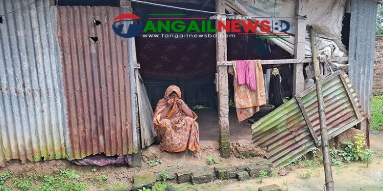 সখীপুরে ভাঙাচোরা ঘরেই দিন কাটাচ্ছেন বৃদ্ধা ফজিলা বেগম