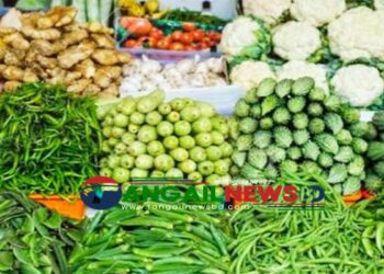 বৃষ্টিপাত শেষে টাঙ্গাইলের বাজারে শীতকালীন সবজির সরবরাহ বেড়েছে