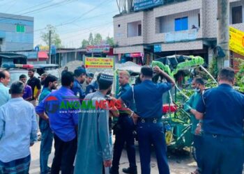 মির্জাপুরে সড়ক দুর্ঘটনায় অটোরিকশার চালক ও যাত্রী নিহত