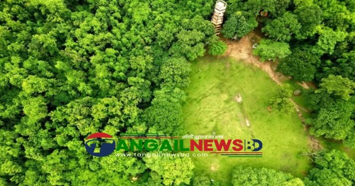 উচ্চমাত্রার ভূমিকম্পের ঝুঁকিতে ‘মধুপুর ফল্ট’॥ মোকাবেলায় সক্ষমতা নেই