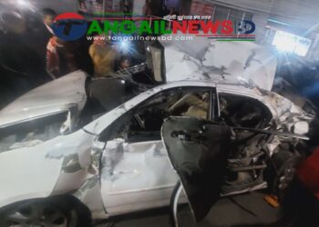 মির্জাপুরে ট্রাকের ধাক্কায় প্রাইভেটকারে থাকা মা-ছেলে নিহত