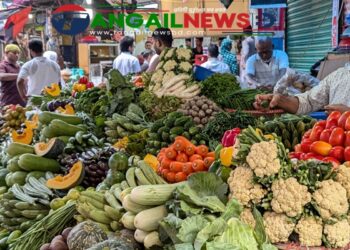 টাঙ্গাইলের বাজারে সরবরাহ বাড়ায় নিত্যপণ্যের দাম কিছুটা স্থিতিশীল