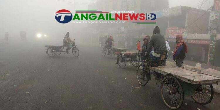 টাঙ্গাইলে কনকনে শীতেও থেমে নেই জনজীবন