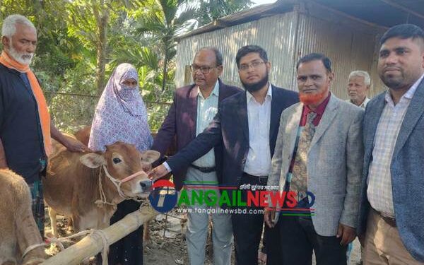 গোপালপুরে বিনামূল্যে বকনা গরু বিতরণ 