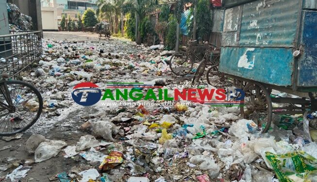 টাঙ্গাইল মেডিকেল কলেজ হাসপাতালের প্রধান গেইটে ময়লার স্তুপ