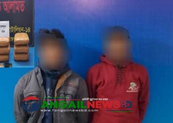 দেলদুয়ারে র‌্যাবের অভিযানে ৩০ কেজি গাঁজাসহ দুইজন গ্রেফতার