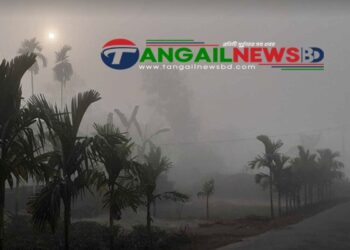 টাঙ্গাইলে কনকনে শীতে কাঁপছে প্রকৃতি ও জনজীবন