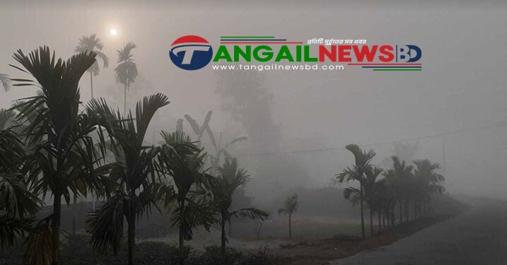 টাঙ্গাইলে কনকনে শীতে কাঁপছে প্রকৃতি ও জনজীবন