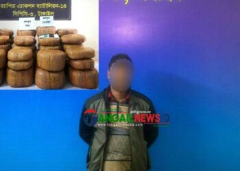 মধুপুরে ১২৭ কেজি ২০০ গ্রাম গাঁজাসহ একজন মাদক কারবারী গ্রেফতার