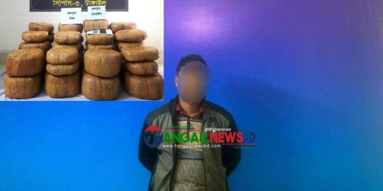 মধুপুরে ১২৭ কেজি ২০০ গ্রাম গাঁজাসহ একজন মাদক কারবারী গ্রেফতার