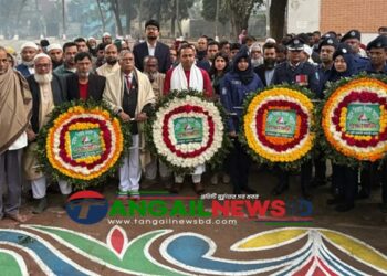 ঘাটাইলে মহান বিজয় দিবস উদযাপিত