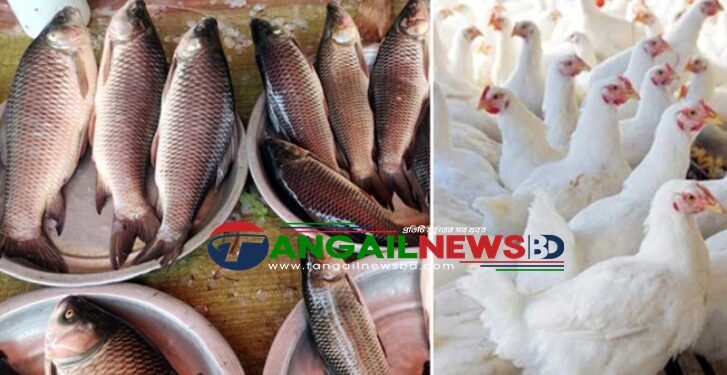 তীব্র শীতের প্রভাব পড়েছে টাঙ্গাইলের নিত্যপণ্যের বাজারে