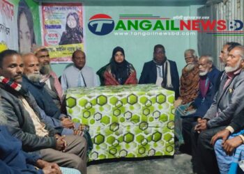 ঘাটাইল-৩ আসনে ভিন্ন রাজনীতির অঙ্গীকার স্বতন্ত্র প্রার্থী আইনিন নাহার নিপার