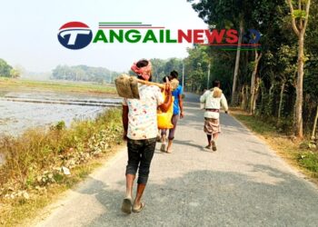 টাঙ্গাইলে সূর্যের দেখা মিললেও কমেনি শীতের তীব্রতা