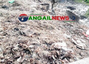 মির্জাপুর পৌর কাঁচা বাজারের বর্জ্য যত্রতত্র ফেলা হচ্ছে