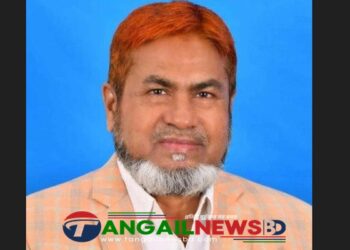 মির্জাপুরে বিএনপি প্রার্থী আবুল কালামের স্ত্রীর বার্ষিক আয় বেশি