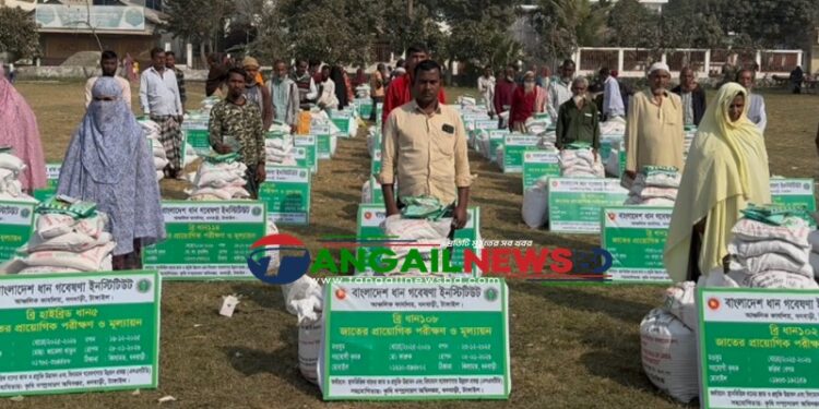 ধনবাড়ীতে কৃষকদের মধ্যে কৃষি উপকরণ বিতরণ